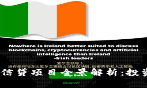 2023年区块链信贷项目全景解析：投资新机遇与风险