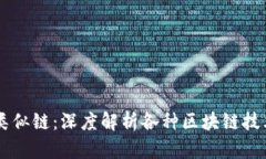 区块链的类似链：深度解析各种区块链技术及其