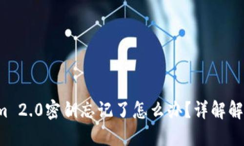 Tokenim 2.0密钥忘记了怎么办？详解解决办法！