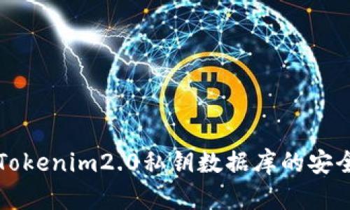 全面了解Tokenim2.0私钥数据库的安全性与应用