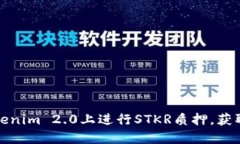 如何在Tokenim 2.0上进行STKR质押，获取最大收益