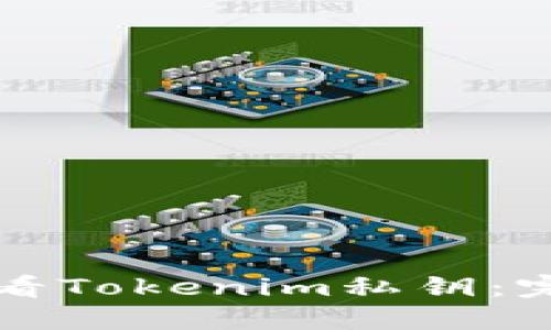 如何查看Tokenim私钥：完整指南