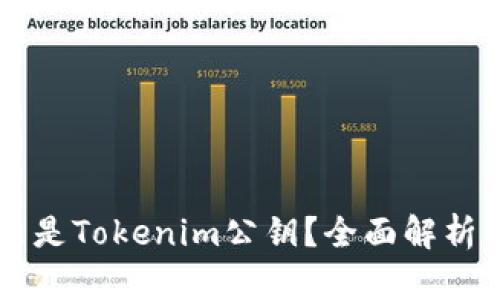 ### 什么是Tokenim公钥？全面解析与实际应用