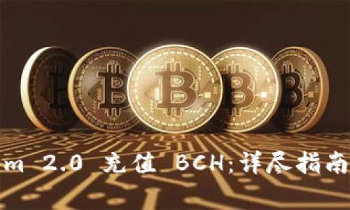 如何使用Tokenim 2.0 充值 BCH：详尽指南与常见问题解答