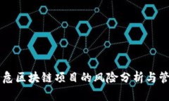 高危区块链项目的风险分析与管理