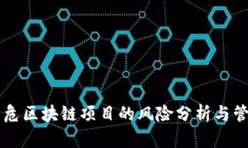 高危区块链项目的风险分析与管理