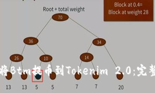 如何将Btm提币到Tokenim 2.0：完整指南