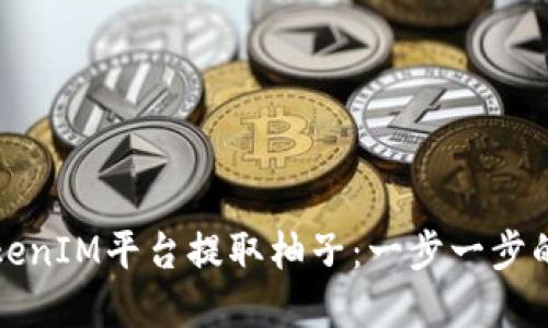如何在TokenIM平台提取柚子：一步一步的详细指南