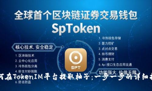 如何在TokenIM平台提取柚子：一步一步的详细指南