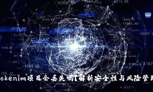 Tokenim项目会丢失吗？解析安全性与风险管理