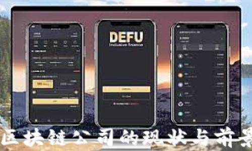 
国内区块链公司的现状与前景分析