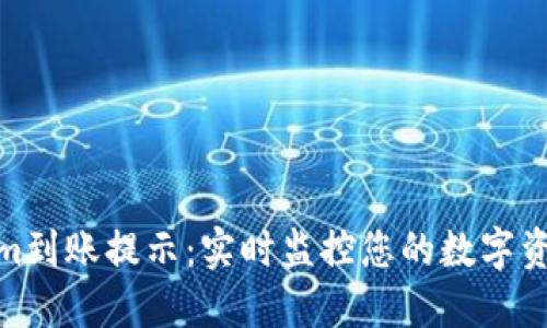 Tokenim到账提示：实时监控您的数字资产变化