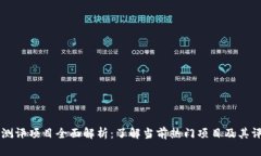 区块链测评项目全面解析：了解当前热门项目及