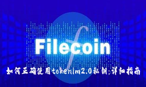 如何正确使用tokenim2.0私钥：详细指南