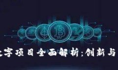 区块链数字项目全面解析：创新与未来趋势