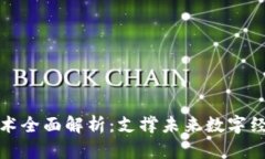 区块链主网技术全面解析：支撑未来数字经济的