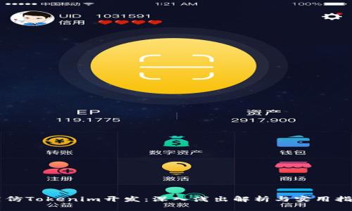 高仿Tokenim开发：深入浅出解析与实用指南