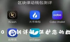 Tokenim 2.0 私钥详解：保护您的数字资产安全