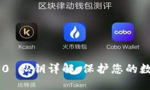 Tokenim 2.0 私钥详解：保护您的数字资产安全
