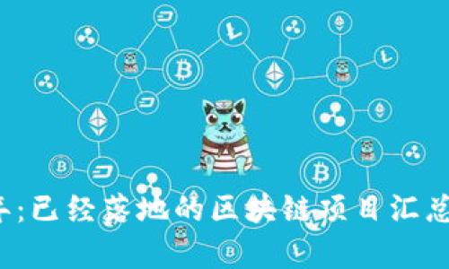 2023年：已经落地的区块链项目汇总及分析