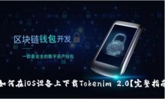如何在iOS设备上下载Tokenim 2.0？完整指南