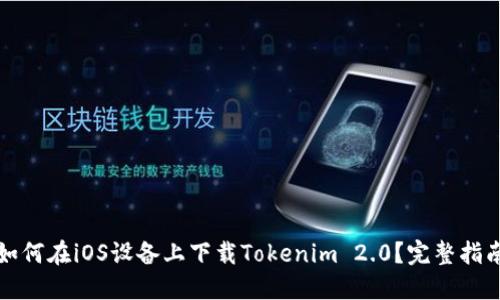 如何在iOS设备上下载Tokenim 2.0？完整指南