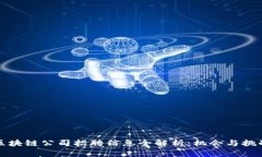 杭州区块链公司招聘信息全解析：机会与挑战并