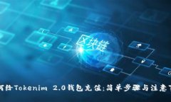 如何给Tokenim 2.0钱包充值：简单步骤与注意事项