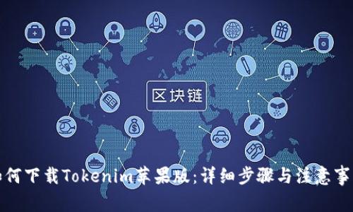 如何下载Tokenim苹果版：详细步骤与注意事项