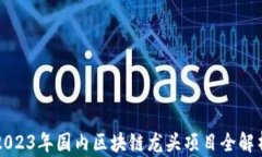 2023年国内区块链龙头项目全解析