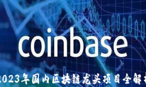 
2023年国内区块链龙头项目全解析