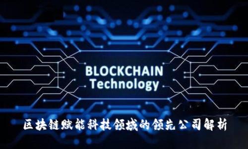 区块链赋能科技领域的领先公司解析