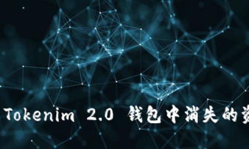 如何解决Tokenim 2.0 钱包中消失的资产问题？