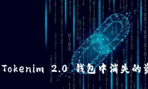 如何解决Tokenim 2.0 钱包中消失的资产问题？