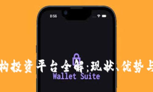 区块链机构投资平台全解:现状、优势与未来趋势