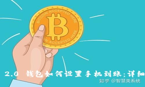 Tokenim 2.0 钱包如何设置手机到账：详细操作指南