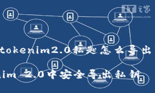以下是针对“tokenim2.0私匙怎么导出”的内容结构。

如何在Tokenim 2.0中安全导出私钥