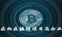张掖区的区块链项目及企业概述