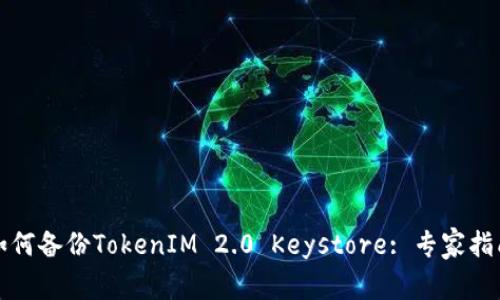 如何备份TokenIM 2.0 Keystore: 专家指南