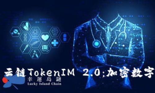 深入了解星云链TokenIM 2.0：加密数字资产的未来