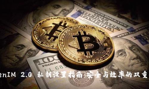 TokenIM 2.0 私钥设置指南:安全与效率的双重保障