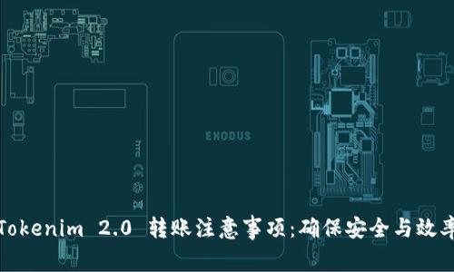 Tokenim 2.0 转账注意事项：确保安全与效率