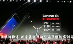 公有区块链概述：现今最流行的公有区块链实例