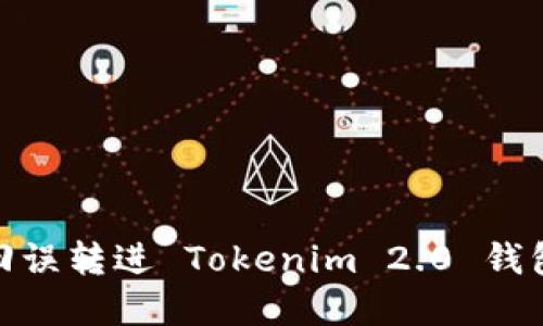 如何找回误转进 Tokenim 2.0 钱包的资金