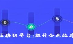 探索亚马逊区块链平台：提升企业效率的技术革