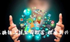 数字藏品区块链上链公司推荐：探索新兴市场的