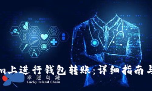 如何在Tokenim上进行钱包转账：详细指南与常见问题解析