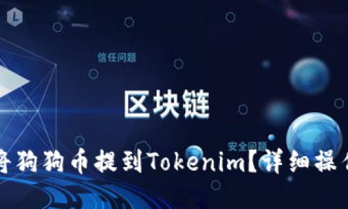 如何将狗狗币提到Tokenim？详细操作指南