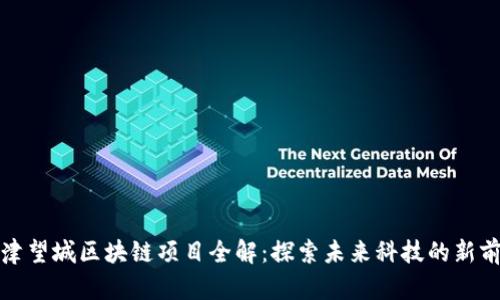 天津望城区块链项目全解：探索未来科技的新前沿