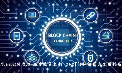 TokenIM 2.0 版本是否支持 BNB？详细解析与使用指南